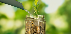 In Top-Artikel-9-Fonds investieren