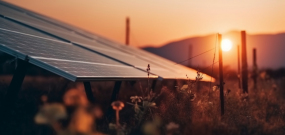 Ranft Solar Anleihe 2024